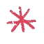 About section accent icon